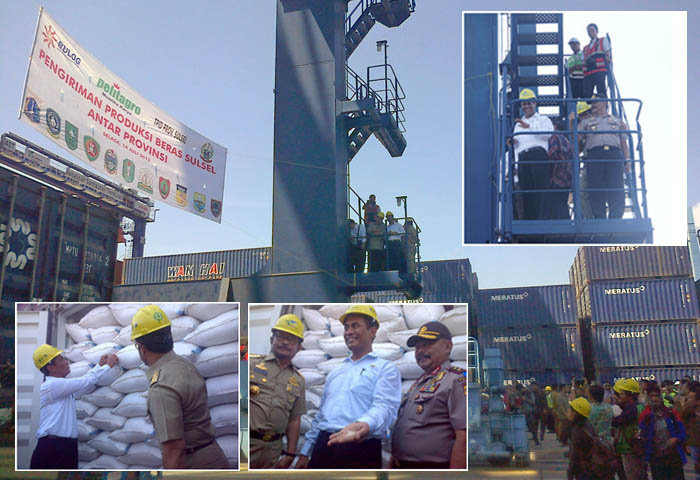 Lima Provinsi Wajib Serap Lebih Banyak Beras Petani